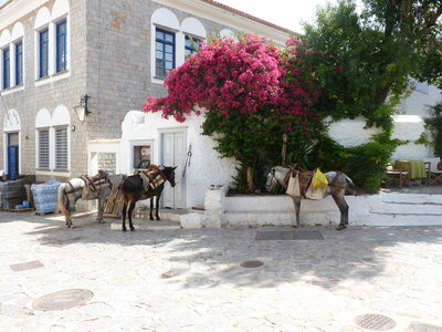 Vacances en Grèce - Hydra Beach Resort Hôtel, P1120209