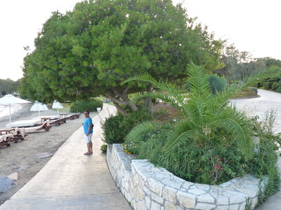 Vacances en Grèce - Hydra Beach Resort Hôtel, P1120445
