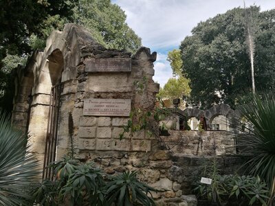Montpellier Septembre 2017, Jardin des Plantes 4